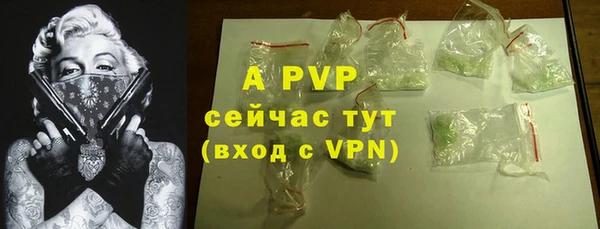 гидра Гатчина