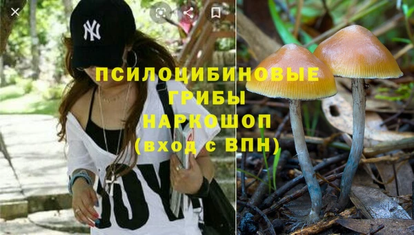 spice Армянск