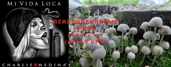 соль курить ск Аркадак